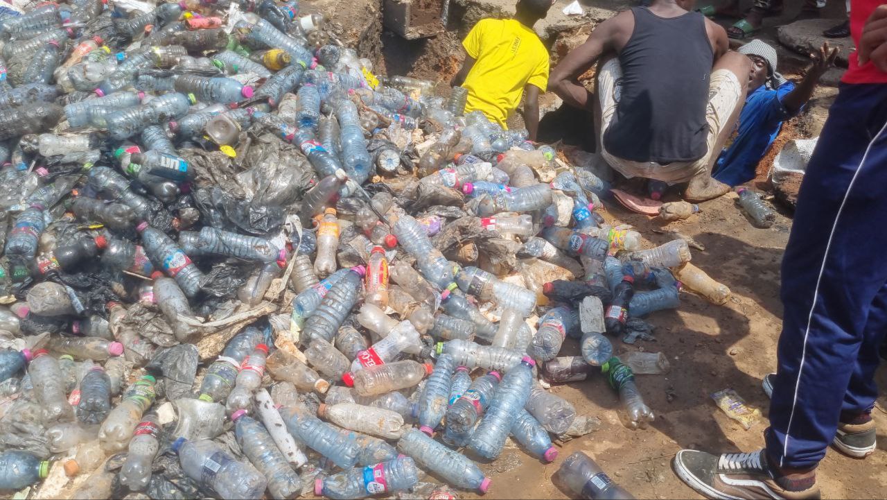 photo 2025 03 08 00 43 59 (2)